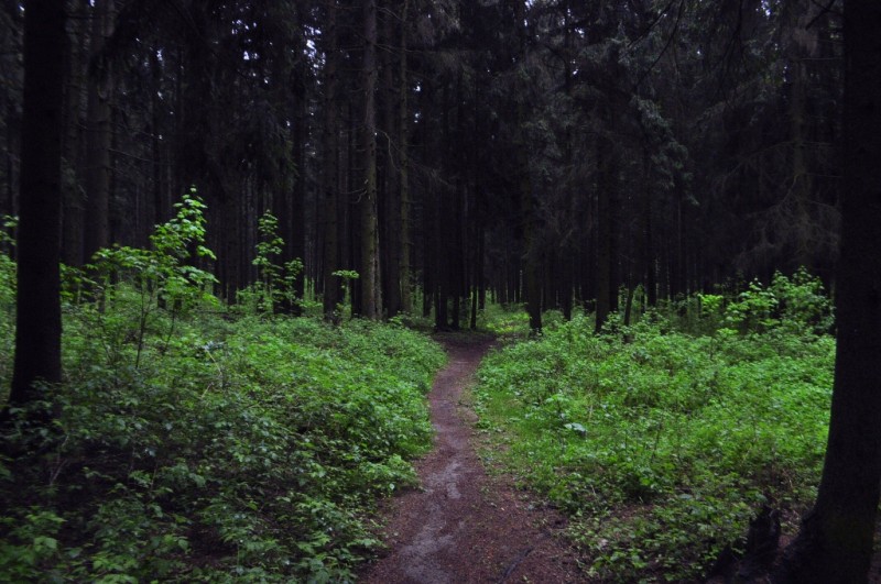 CSC_0562.JPG