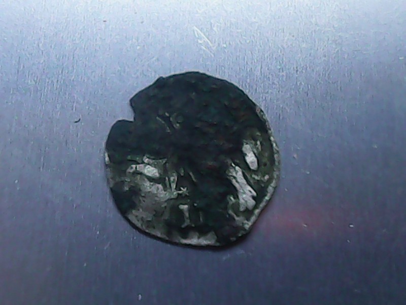 SUNP0024.JPG