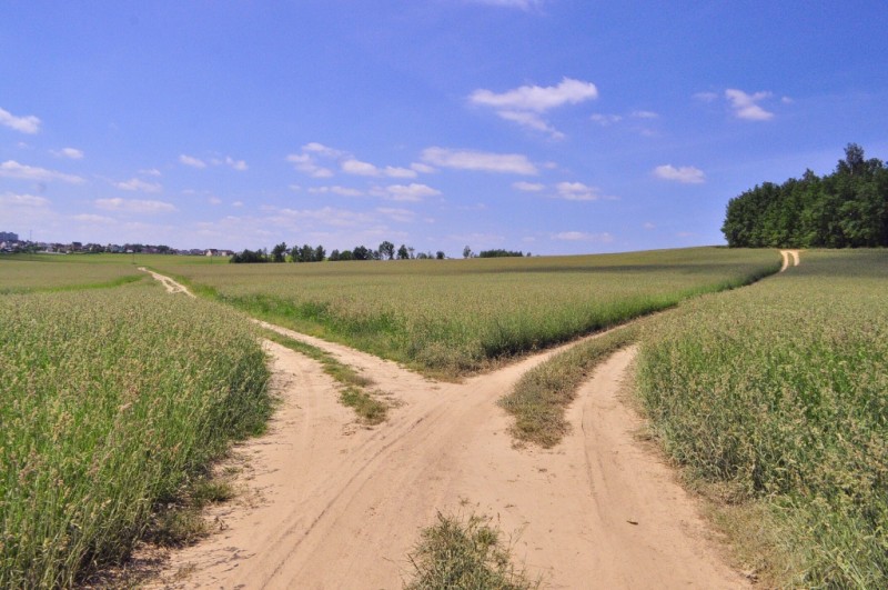 CSC_0578.JPG