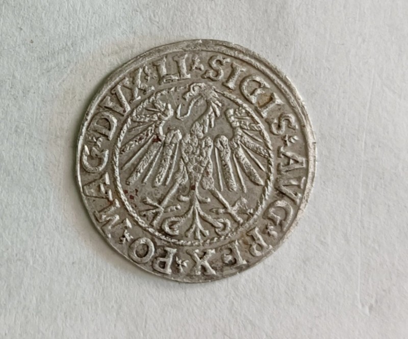 1747732550835.jpg