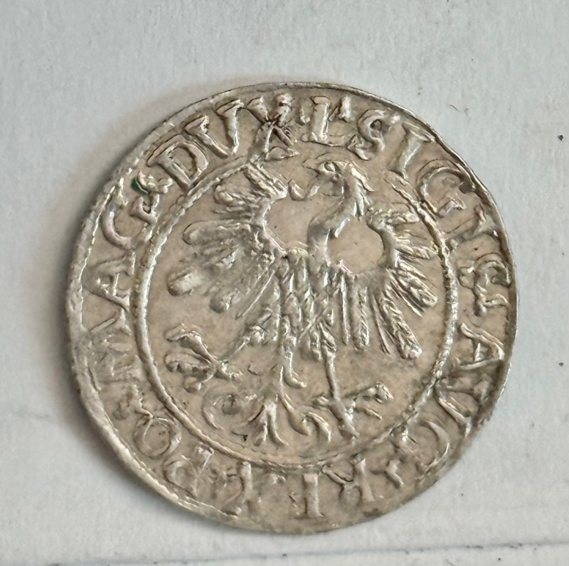 1519.jpg