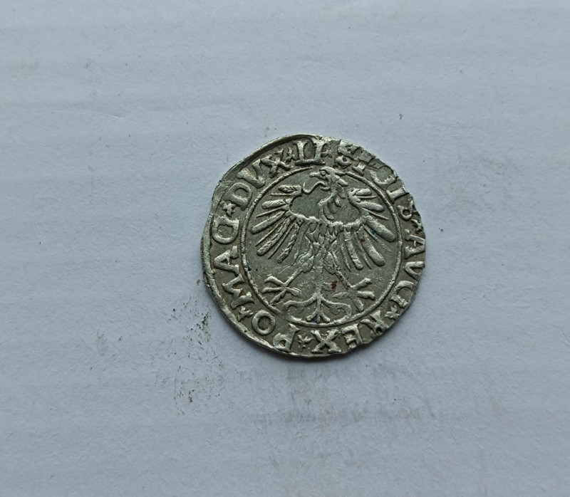 1748073162566.jpg
