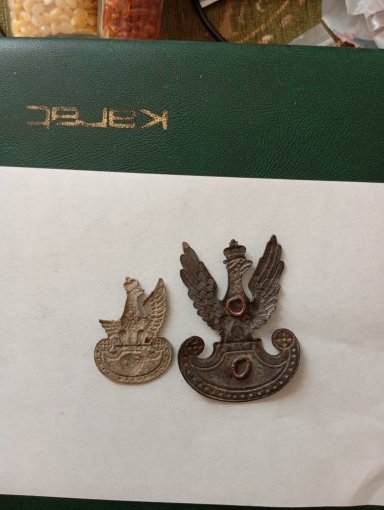 1750143828980.jpg