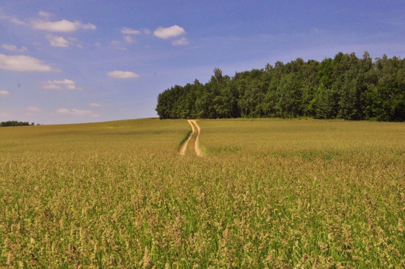 CSC_0576.JPG