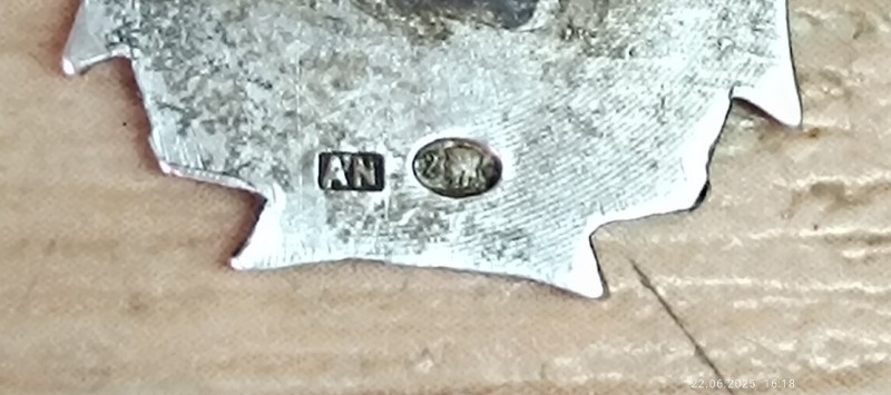 IMG_20250622_204030.jpg