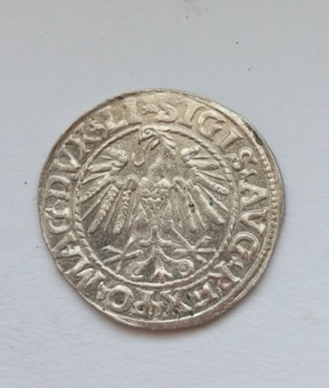 1752379707619.jpg