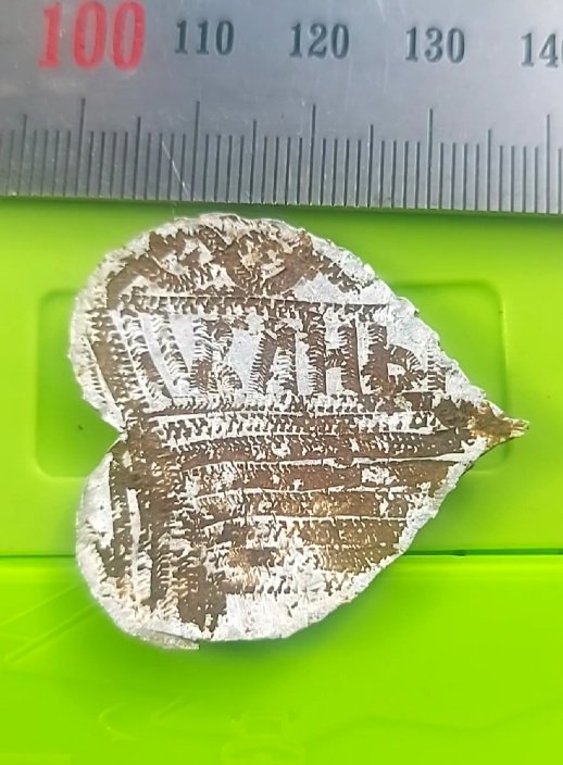 VideoCapture_20250801-092801.jpg