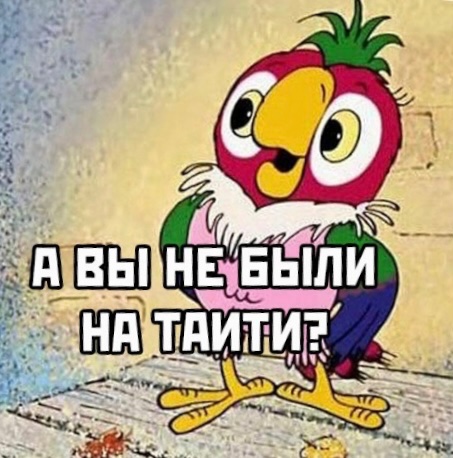 IMG_5301.jpeg