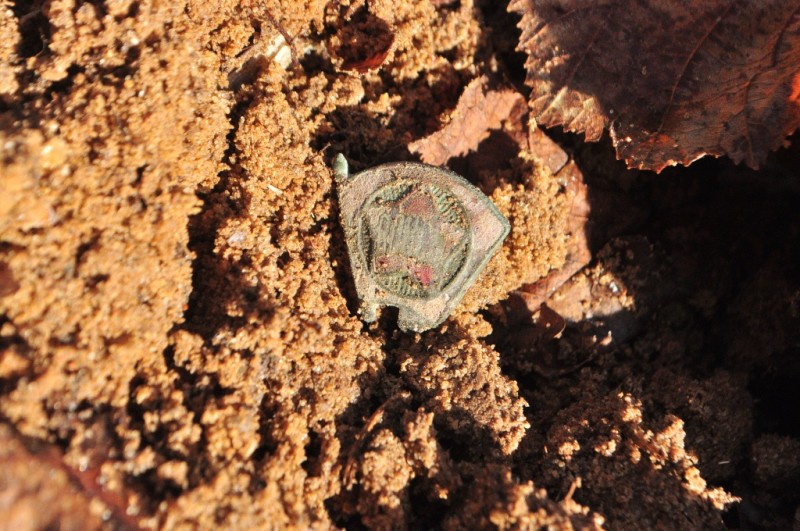 CSC_6059.JPG