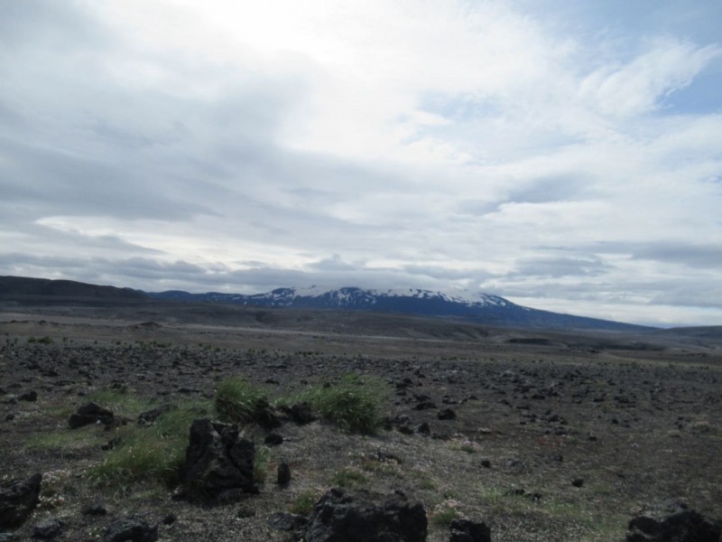 IMG_2468.jpg