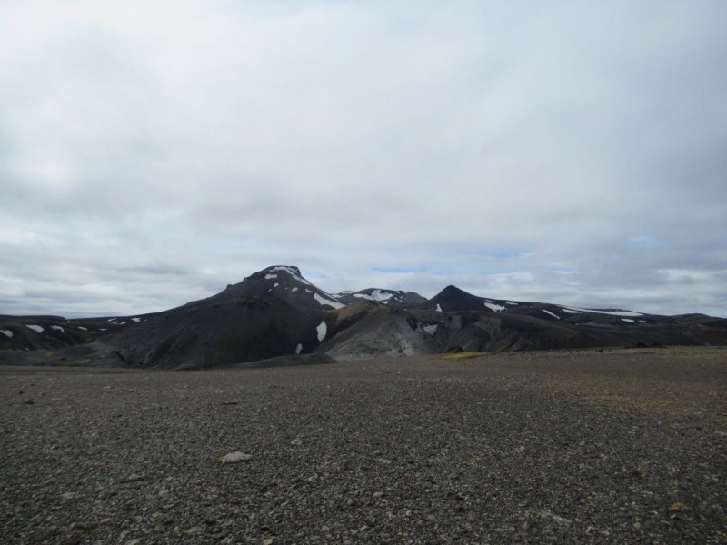 IMG_2479.jpg