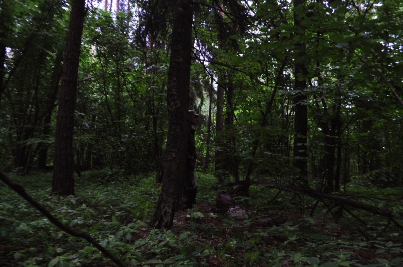 CSC_0634.JPG