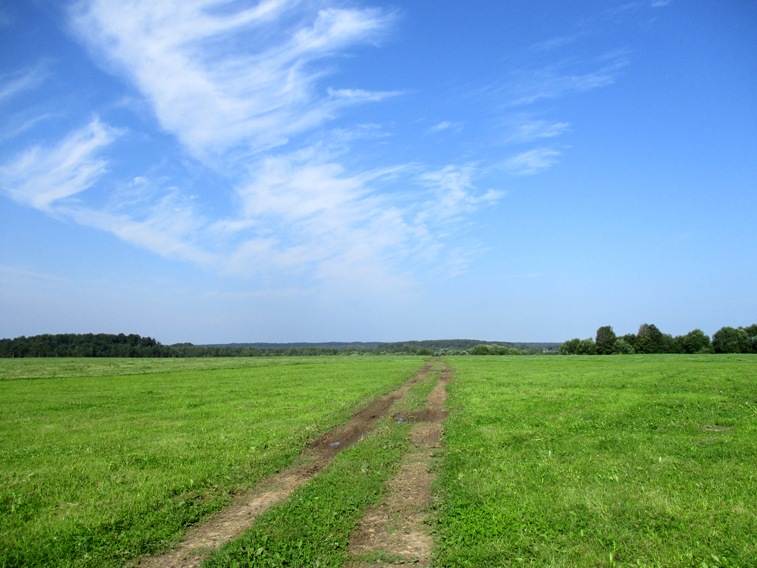 IMG_3416.JPG