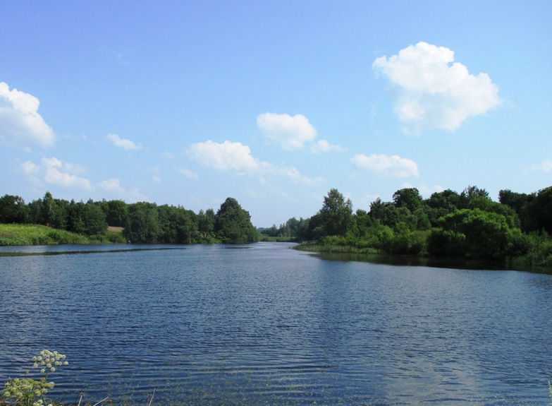 IMG_3424.JPG