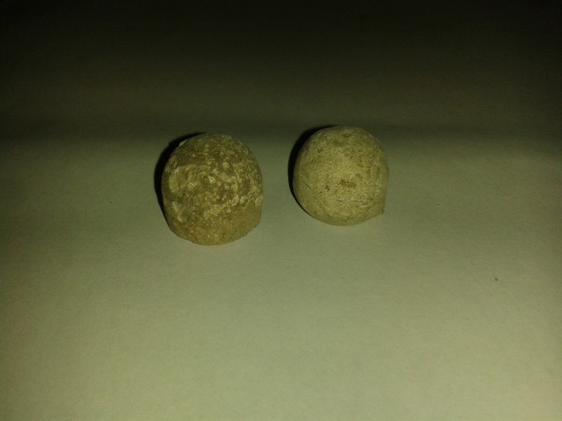 20190727_131343.jpg