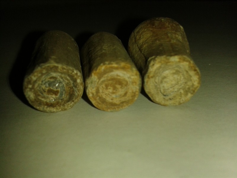 20190728_070523.jpg