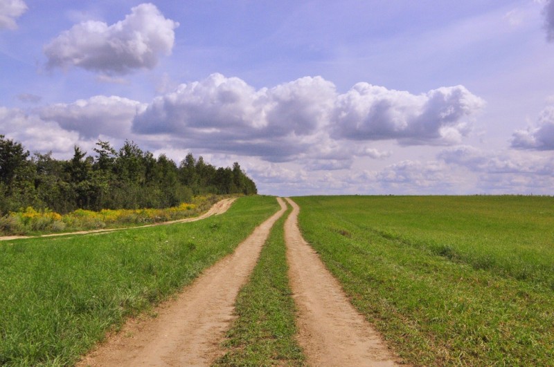 CSC_0765.JPG