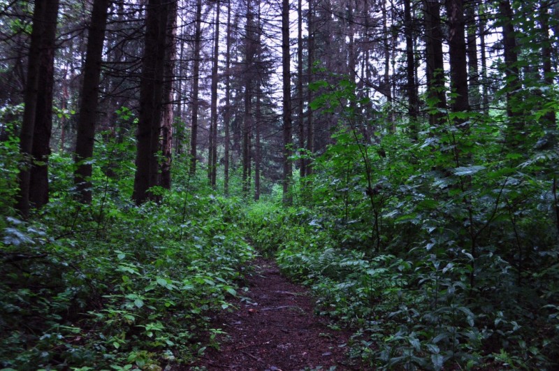 CSC_0820.JPG