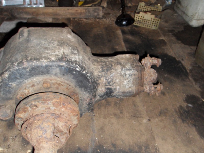 SDC10024.JPG
