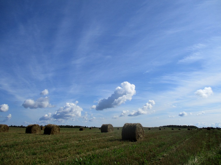 IMG_3675.JPG