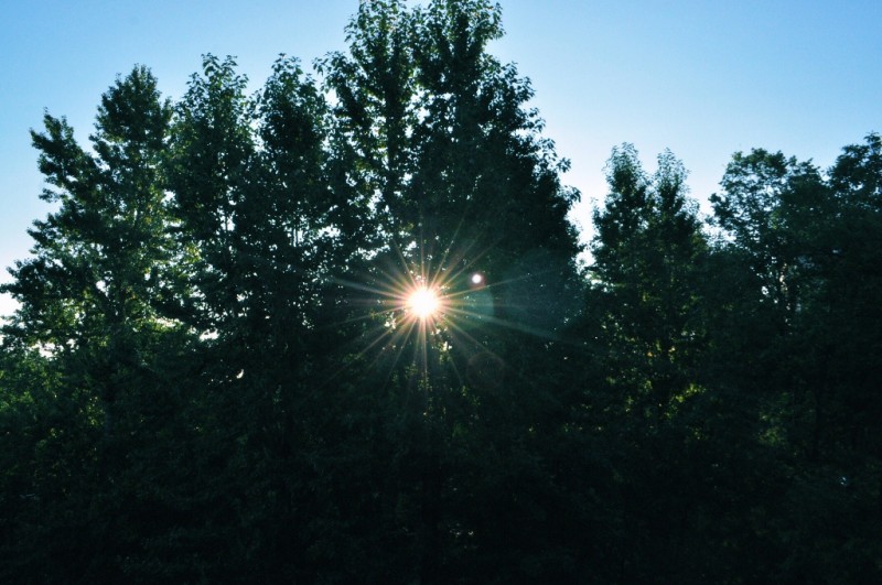 CSC_0796.JPG