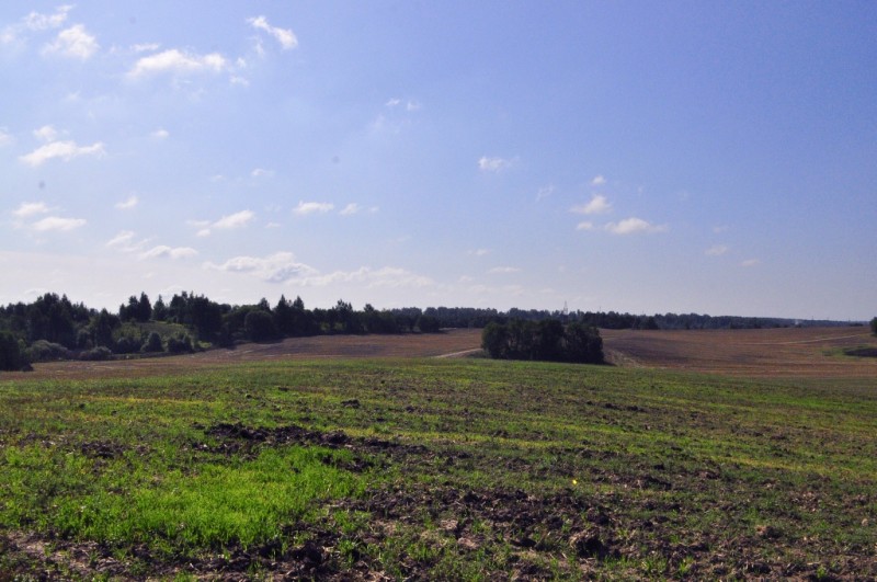 CSC_0847.JPG