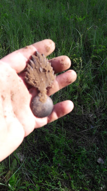 20190719_080335.jpg