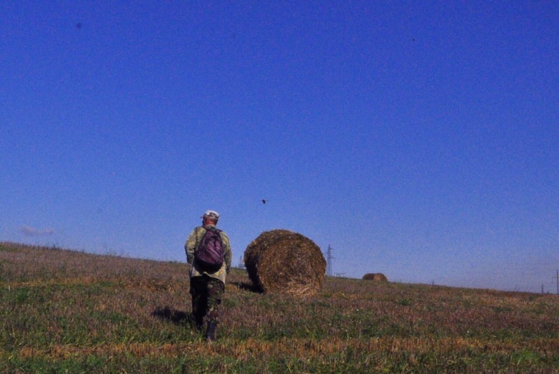 CSC_1188.JPG