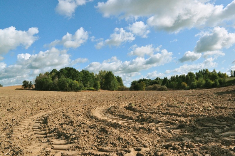 CSC_1308.JPG