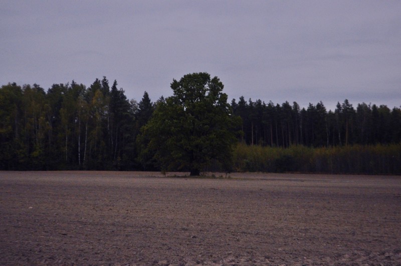 CSC_1353.JPG