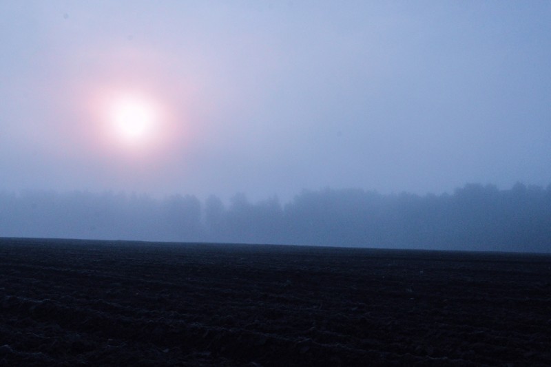 CSC_1347.JPG