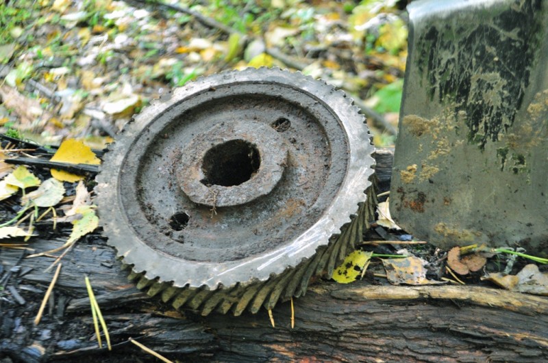 CSC_1343.JPG