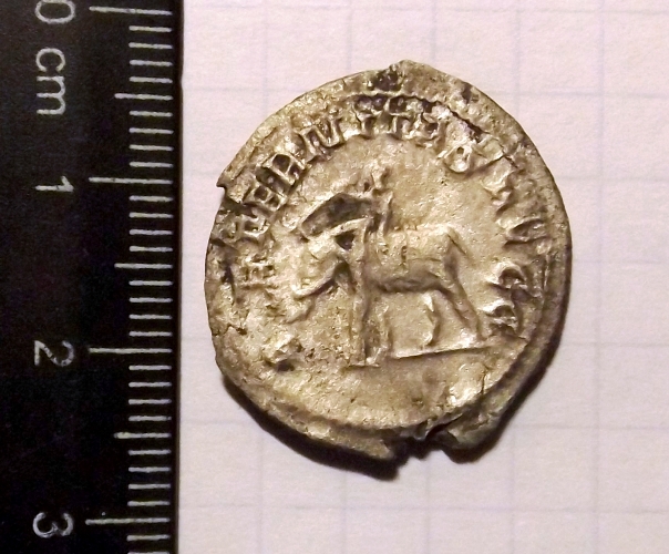 DSCF3421.JPG