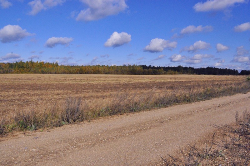CSC_1364.JPG