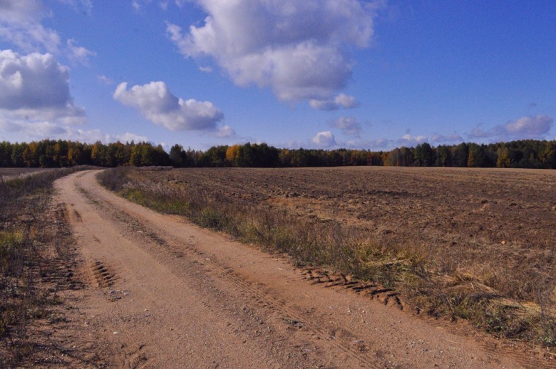 CSC_1366.JPG