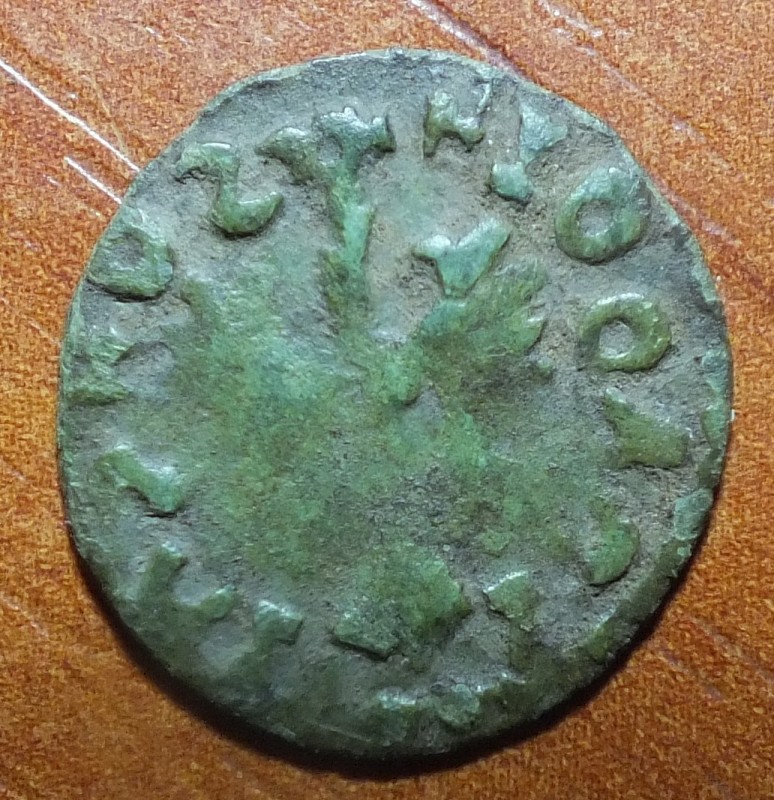DSCF3157.JPG