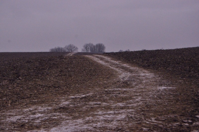 CSC_6143.JPG