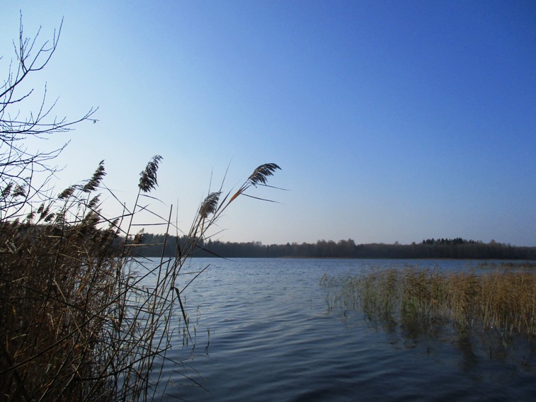 IMG_4144.JPG