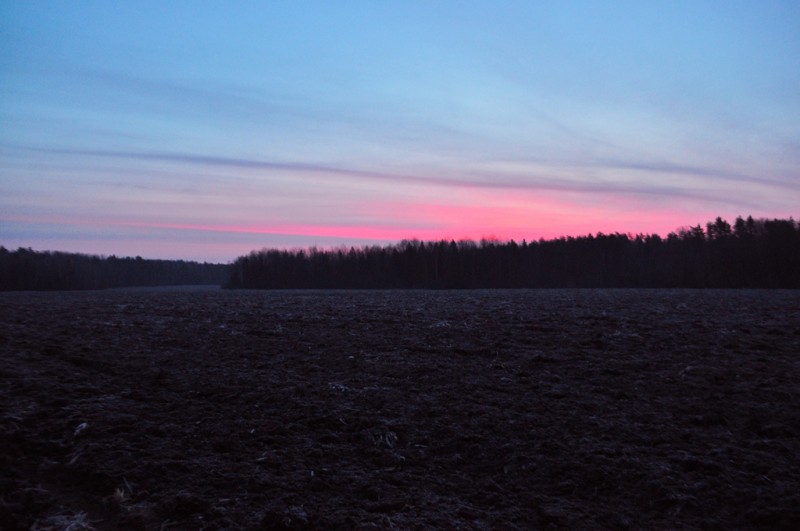 CSC_1479.JPG