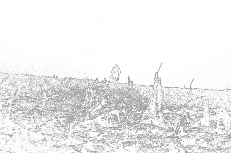 CSC_1463.JPG