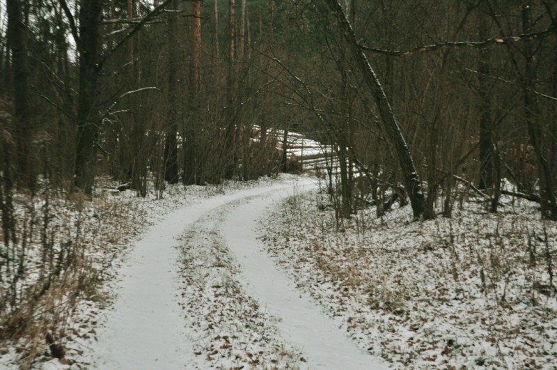 CSC_1492.JPG
