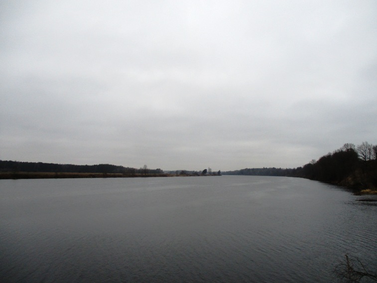 IMG_4343.JPG
