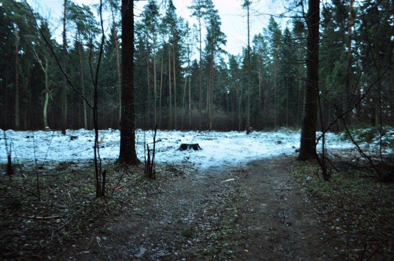 CSC_1485.JPG