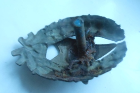 DSCN4554.JPG