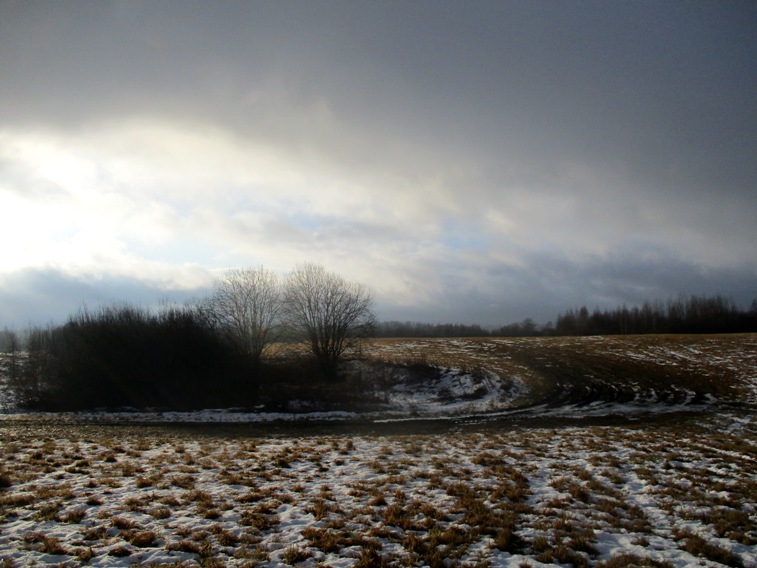 IMG_4459.JPG