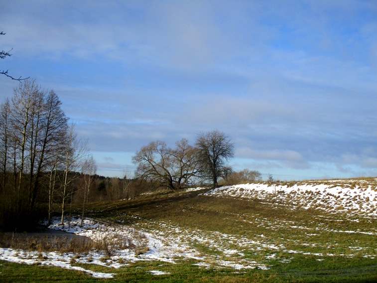 IMG_4494.JPG