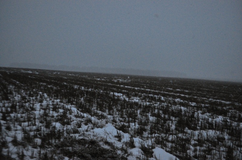 CSC_1519.JPG