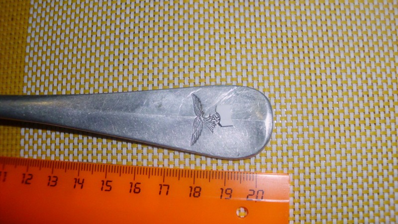 DSCI1048.JPG