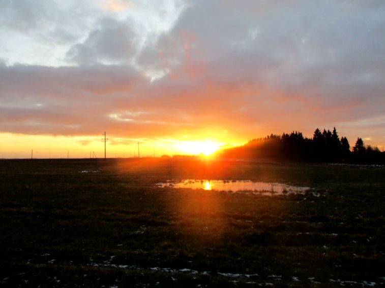 IMG_4565.JPG