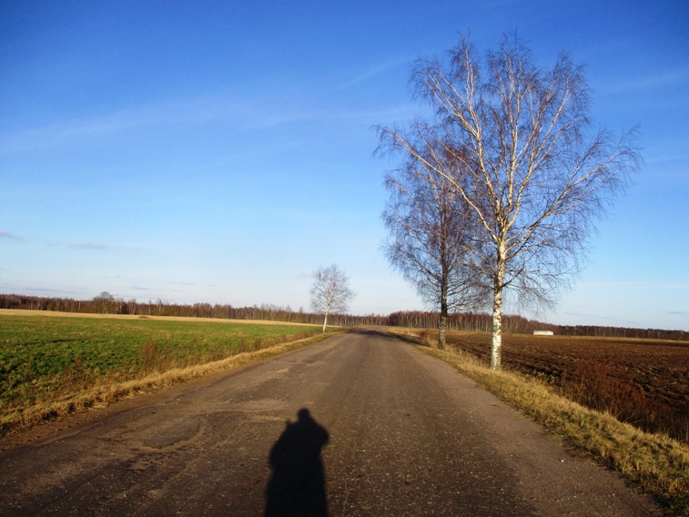 IMG_4663.JPG